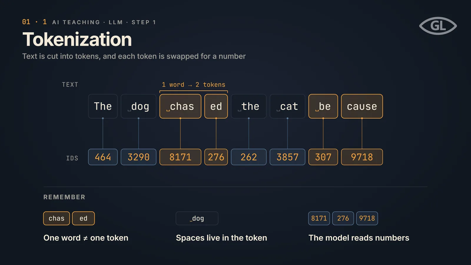 One-pager titled "Tokenization": the sentence "The dog chased the cat because" is a row of token chips, with "chased" split into "chas" and "ed" (1 word, 2 tokens) and "because" into "be" and "cause", each chip wired down to a numeric ID such as 464, 3290 and 8171; a REMEMBER band notes one word is not one token, spaces live in the token, and the model reads numbers.